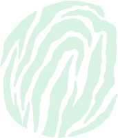 Asset 6.png