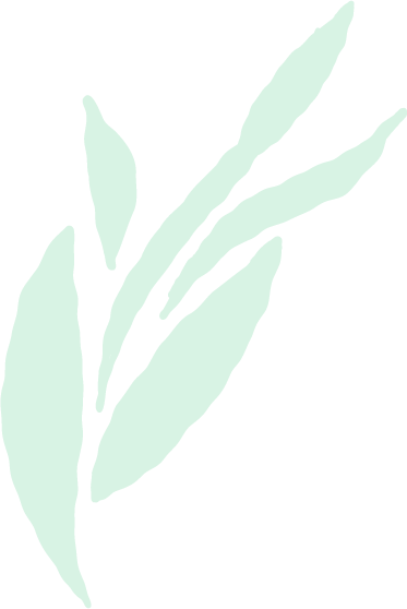 Stylized illustration of plant leaves against a black background
