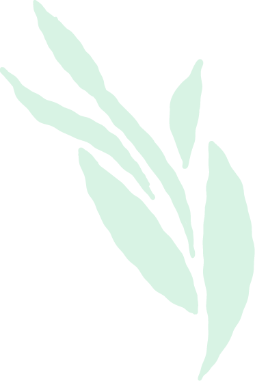 Illustration of green leaves on a branch.