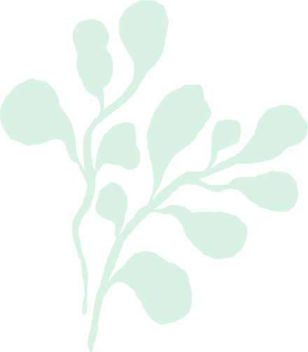 Illustration of a light green leafy branch against a black background.