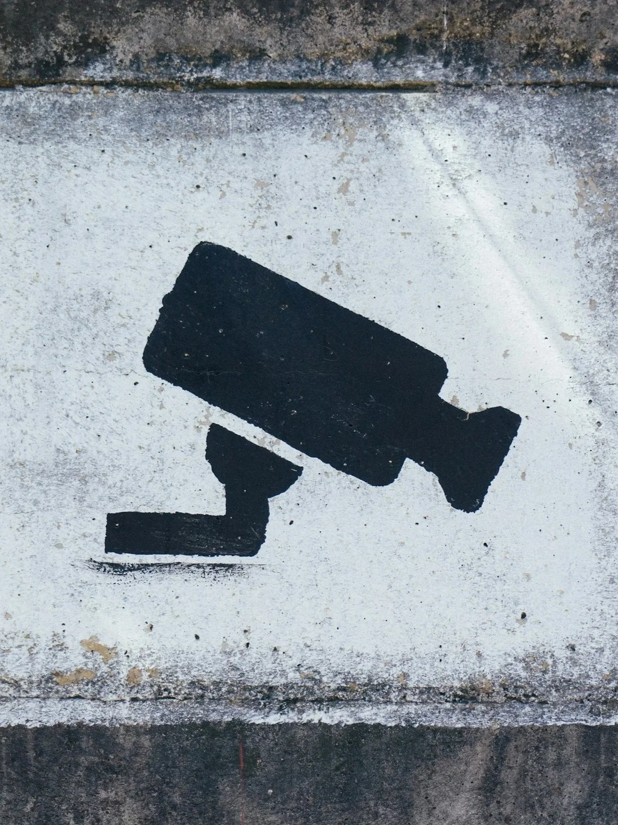 Surveillance System icon