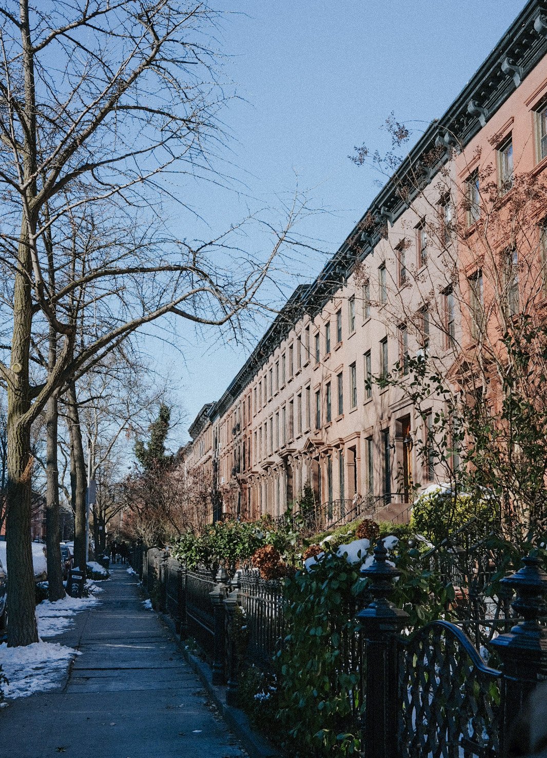 Carroll Gardens. Brooklyn, NY. Circa 2021.