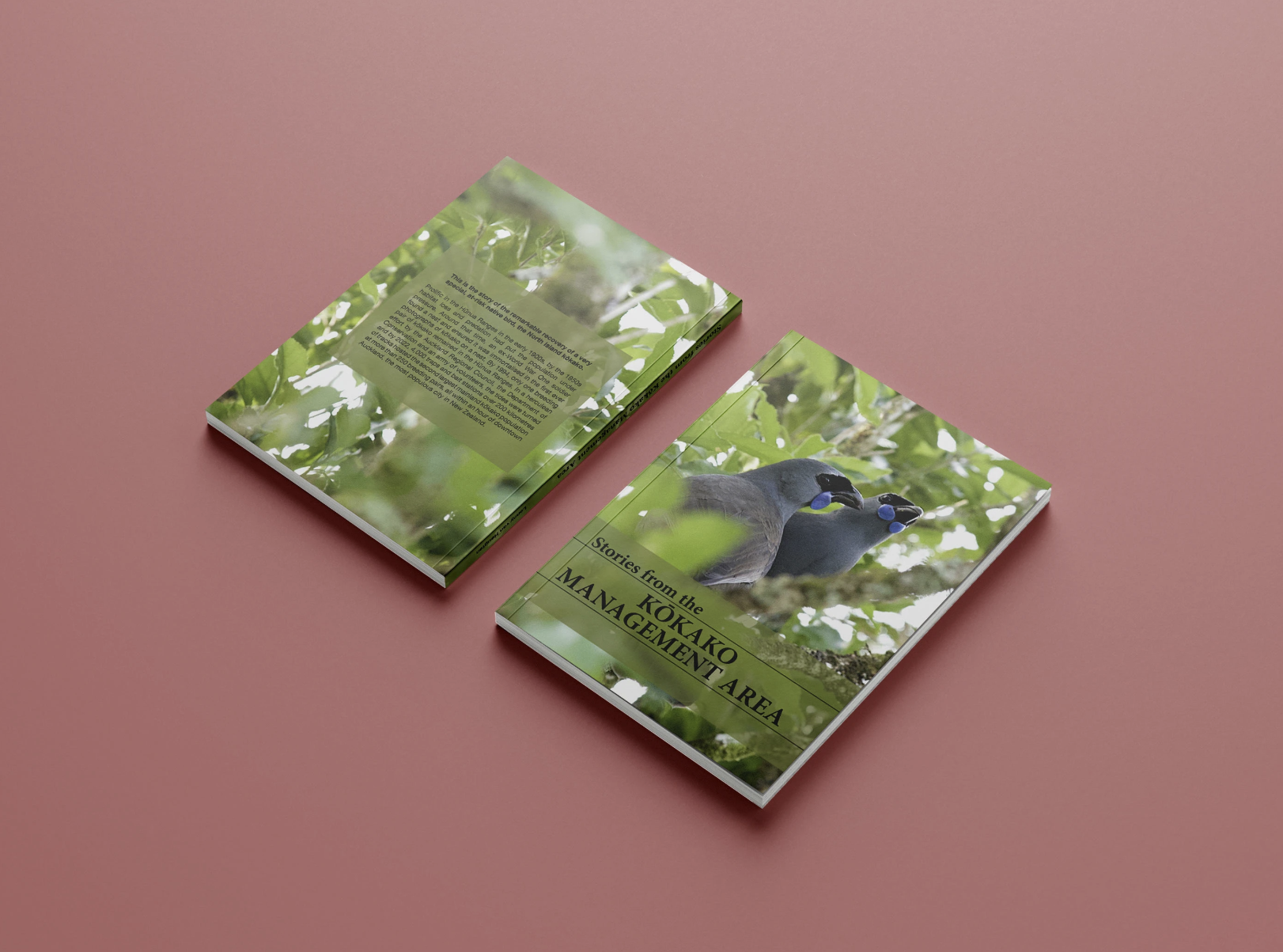 Screenshot 2026-02-19 144929.png