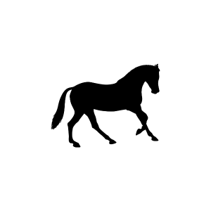 Silhouette of a horse walking