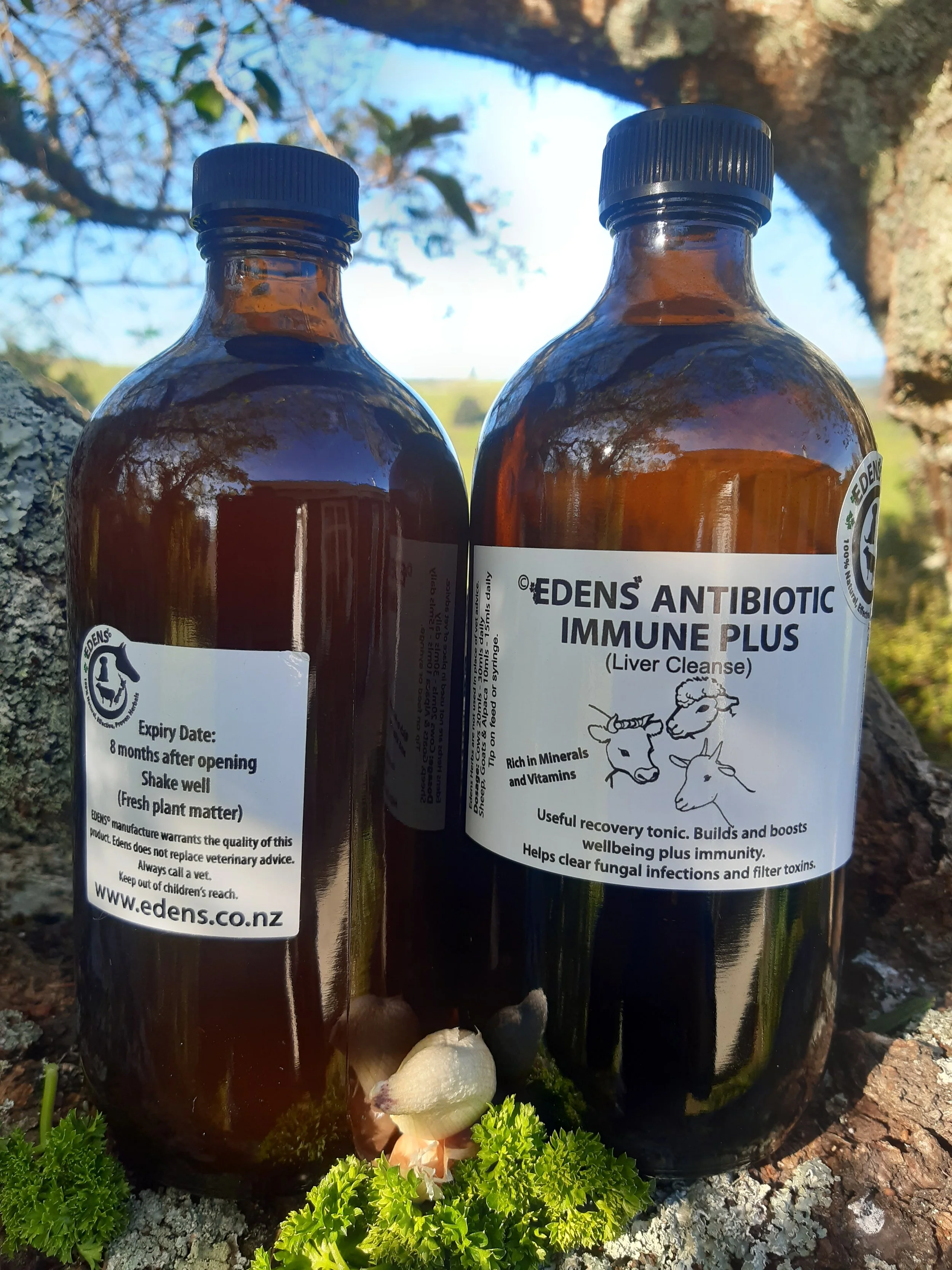 ©EDENS Immune Booster Plus - Liver Cleanse