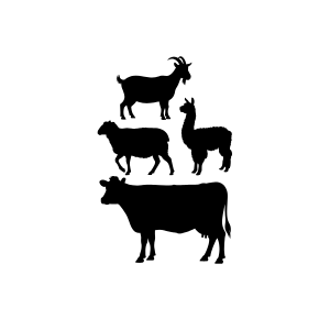 Silhouettes of multiple animals, including a goat, a rabbit, a pig, and a cow