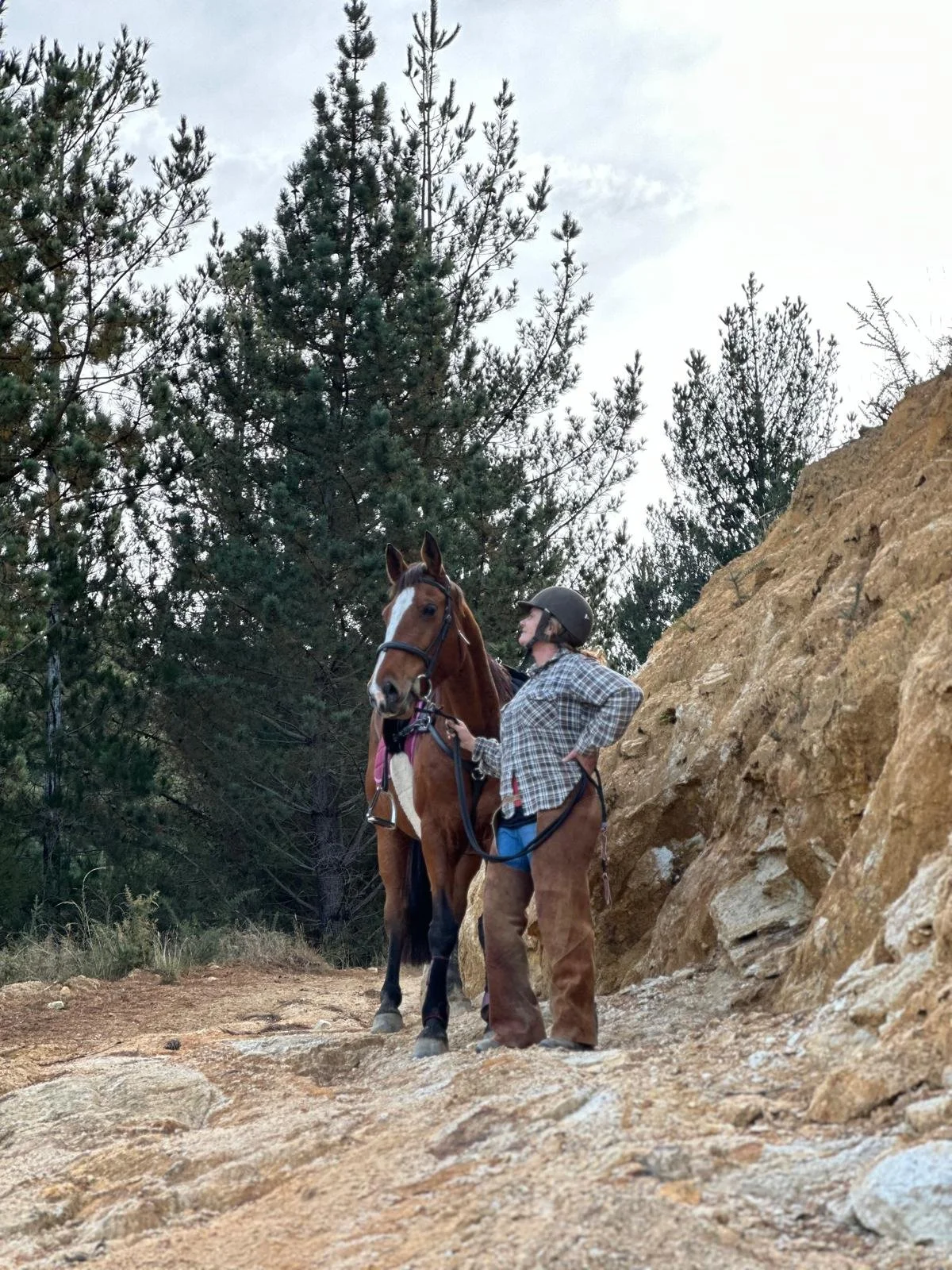 A person standing with a horse on a rocky hillside with pine trees in the background.