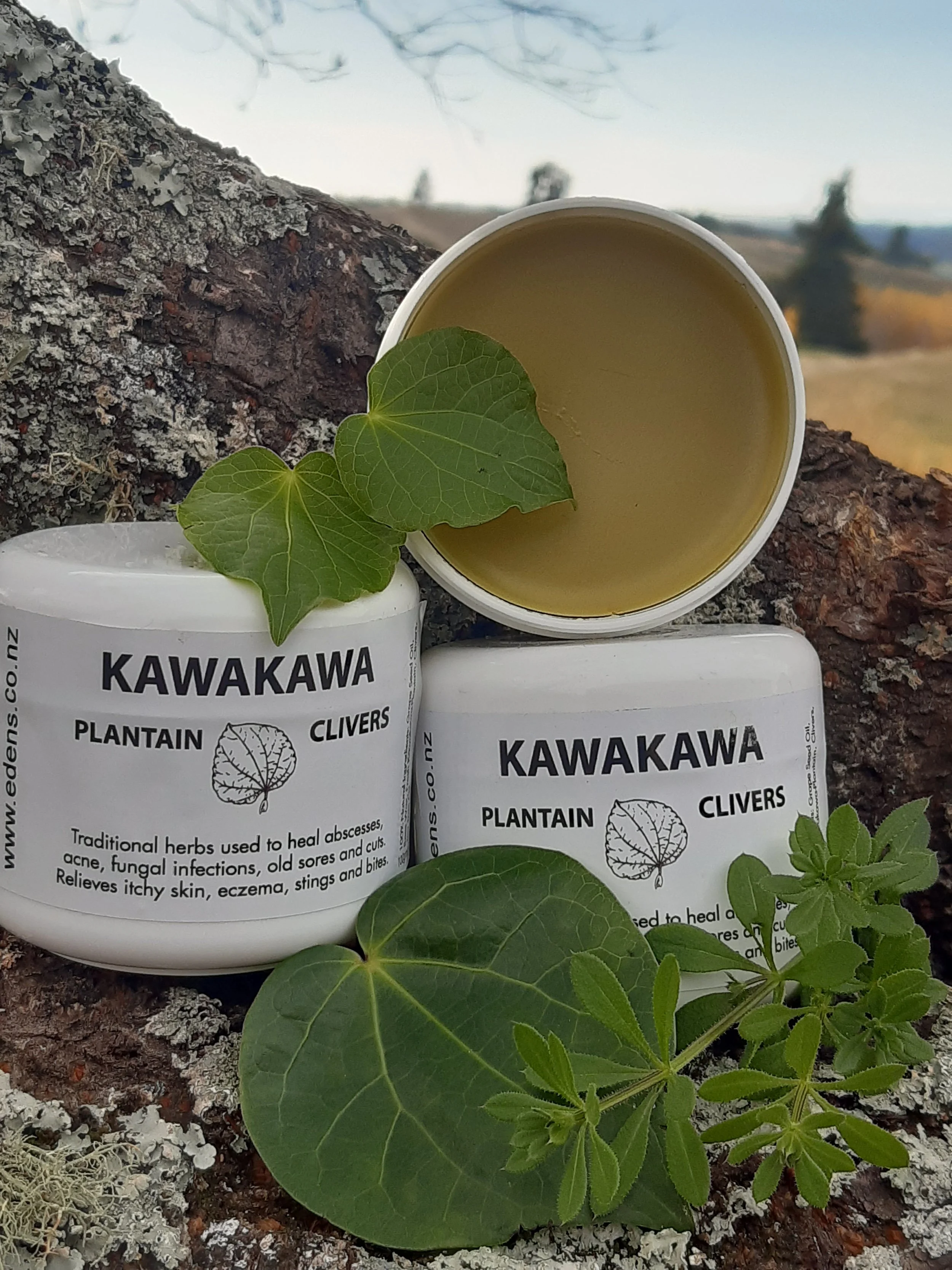 ©EDENS Kawakawa, Plantain and Clivers Ointment for People & Pets