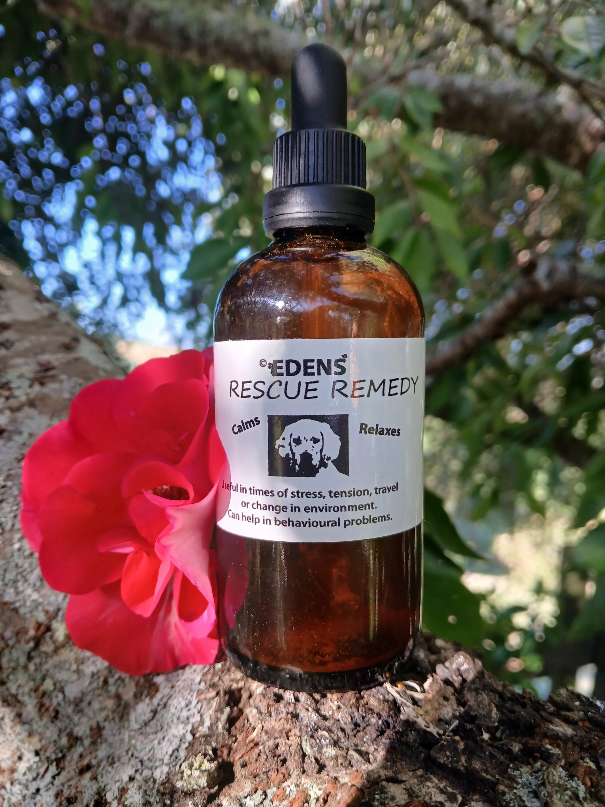 Edens Rescue Remedy Dogs