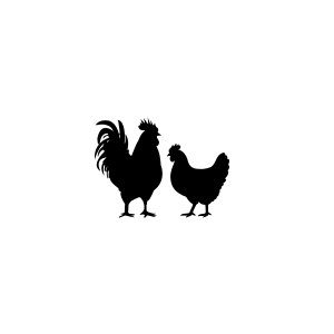 Silhouettes of a rooster and a hen on a white background.