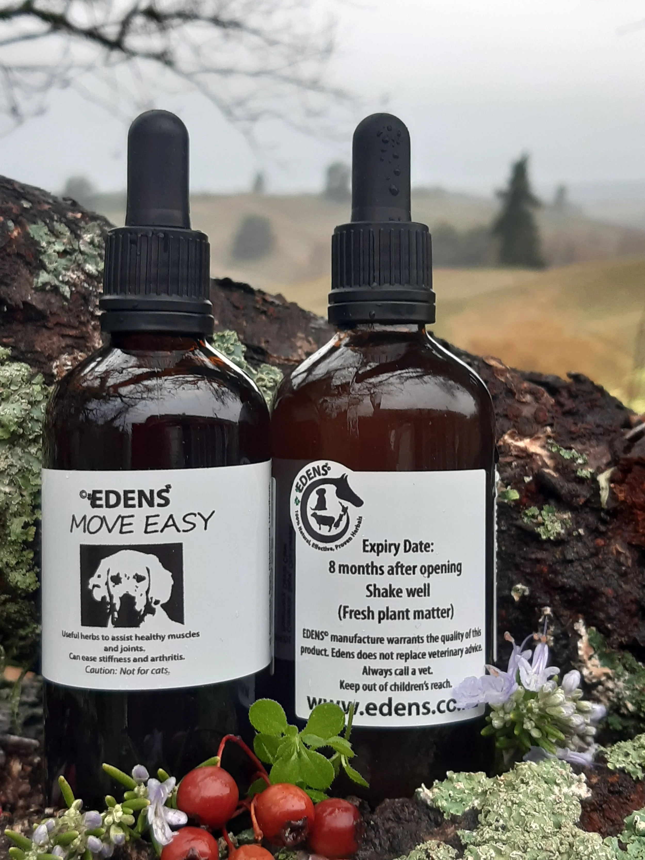 ©EDENS Move Easy for Dogs