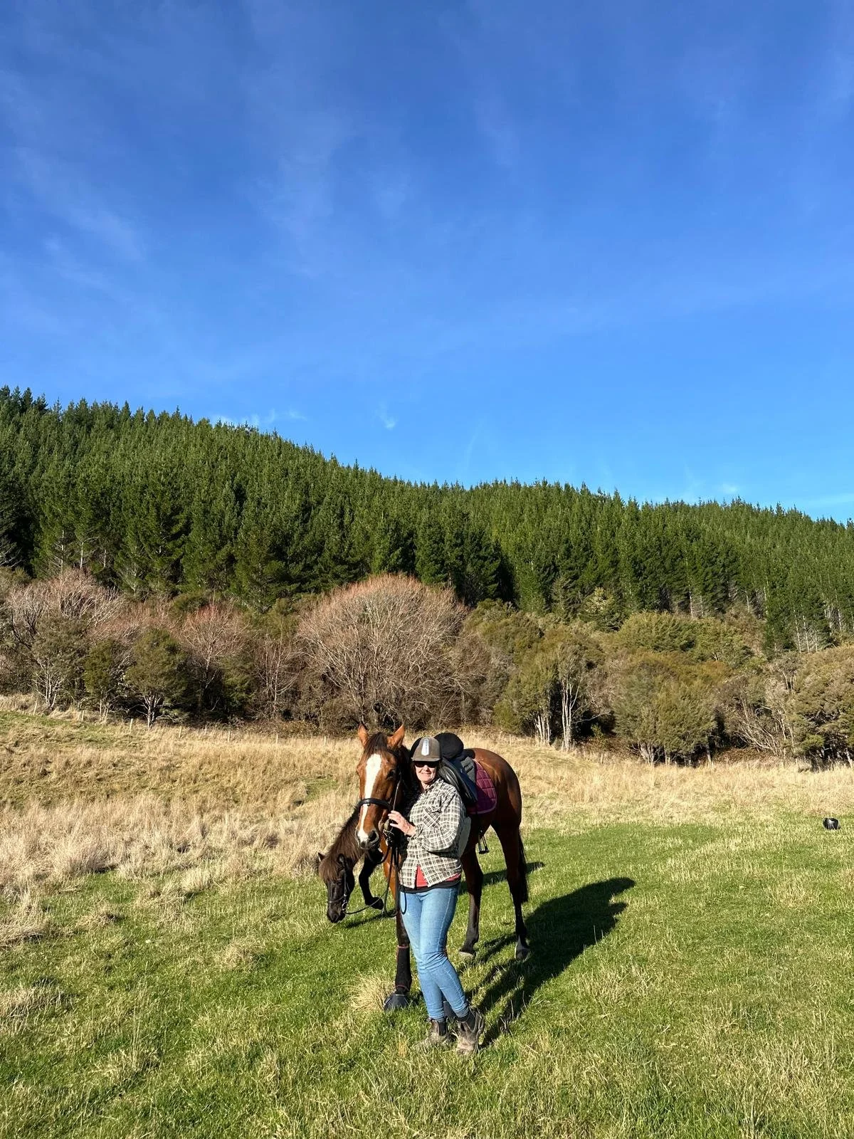 Susan Maynard standing beside her horse in a grassy field with trees and a forest in the background under a blue sky.