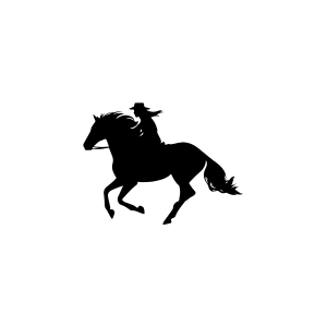 Silhouette of a horse running