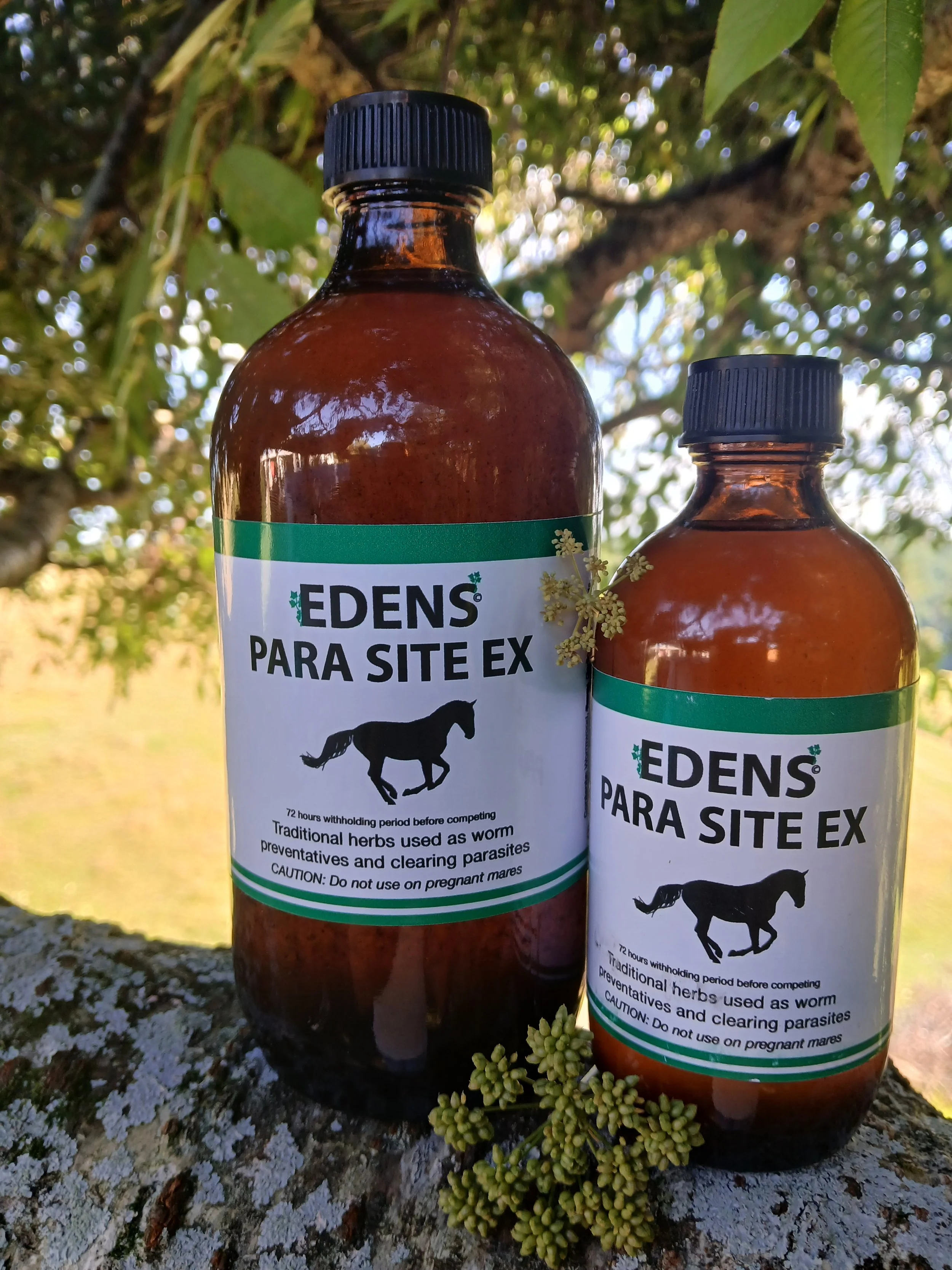 ©EDENS Parasite Ex - Cleansing, Cleaning, Preventing