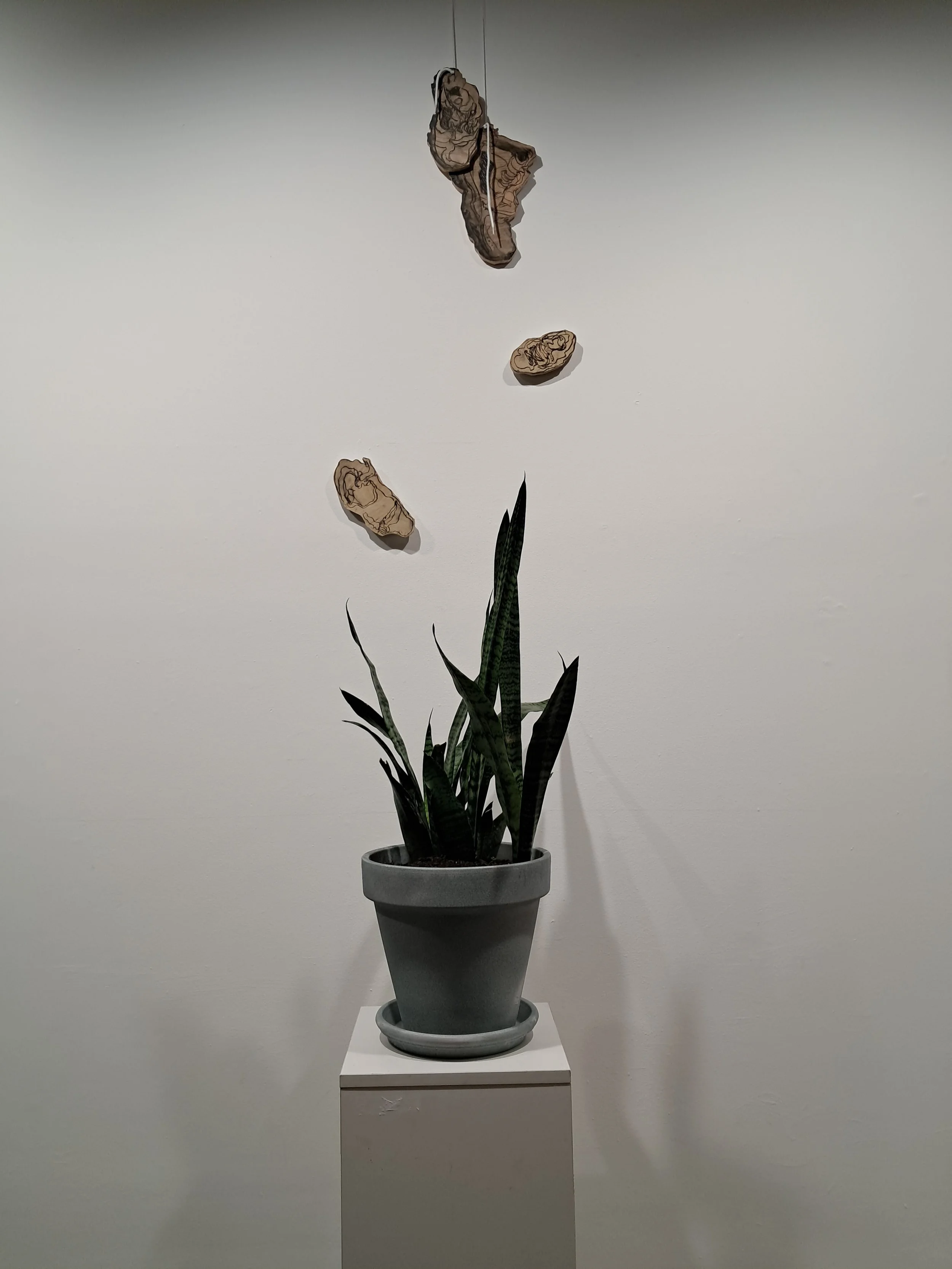 I pray to you now
variable dimensions
2025
installation