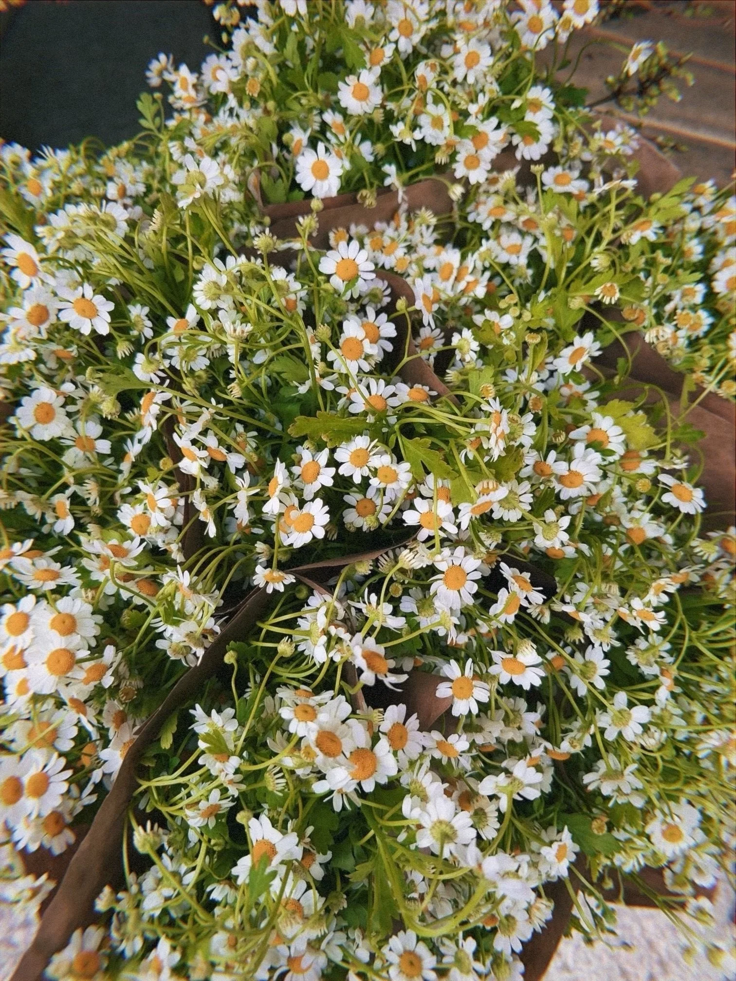 Lessons for Littles: Sourdough Chamomile Honey Cake and Mini Bouquets Saturday, MAY 9th 10:30AM