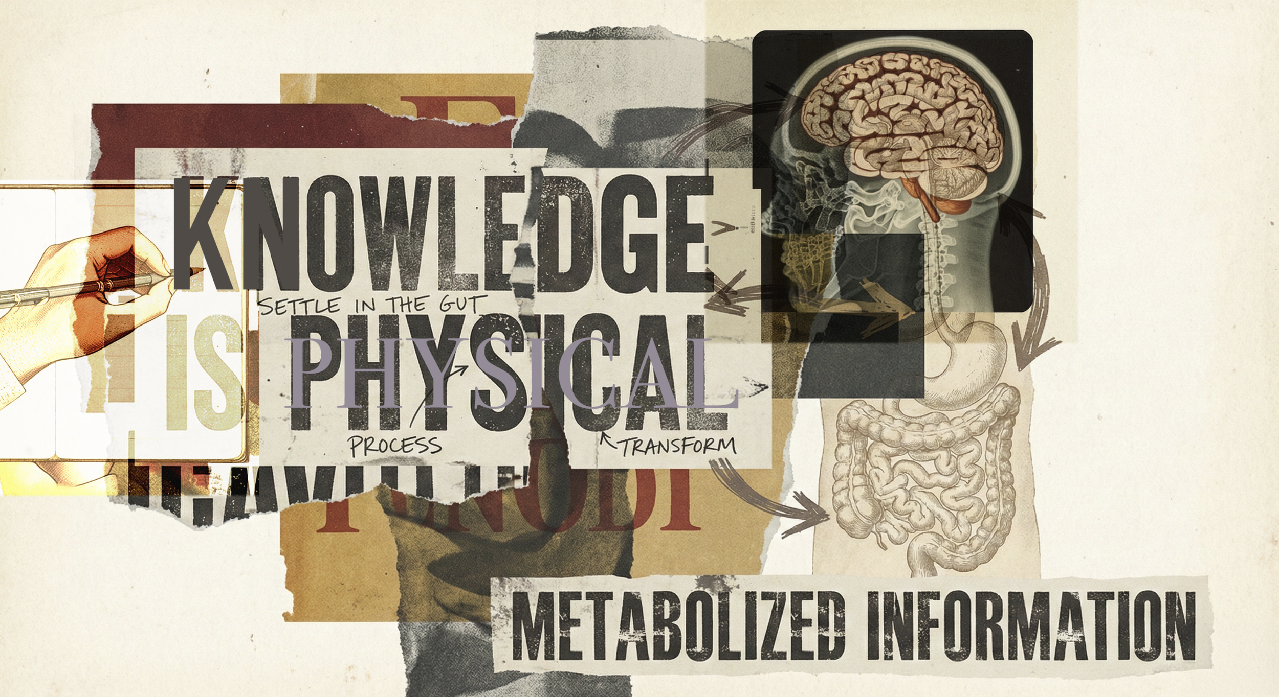 the body reclaims territory