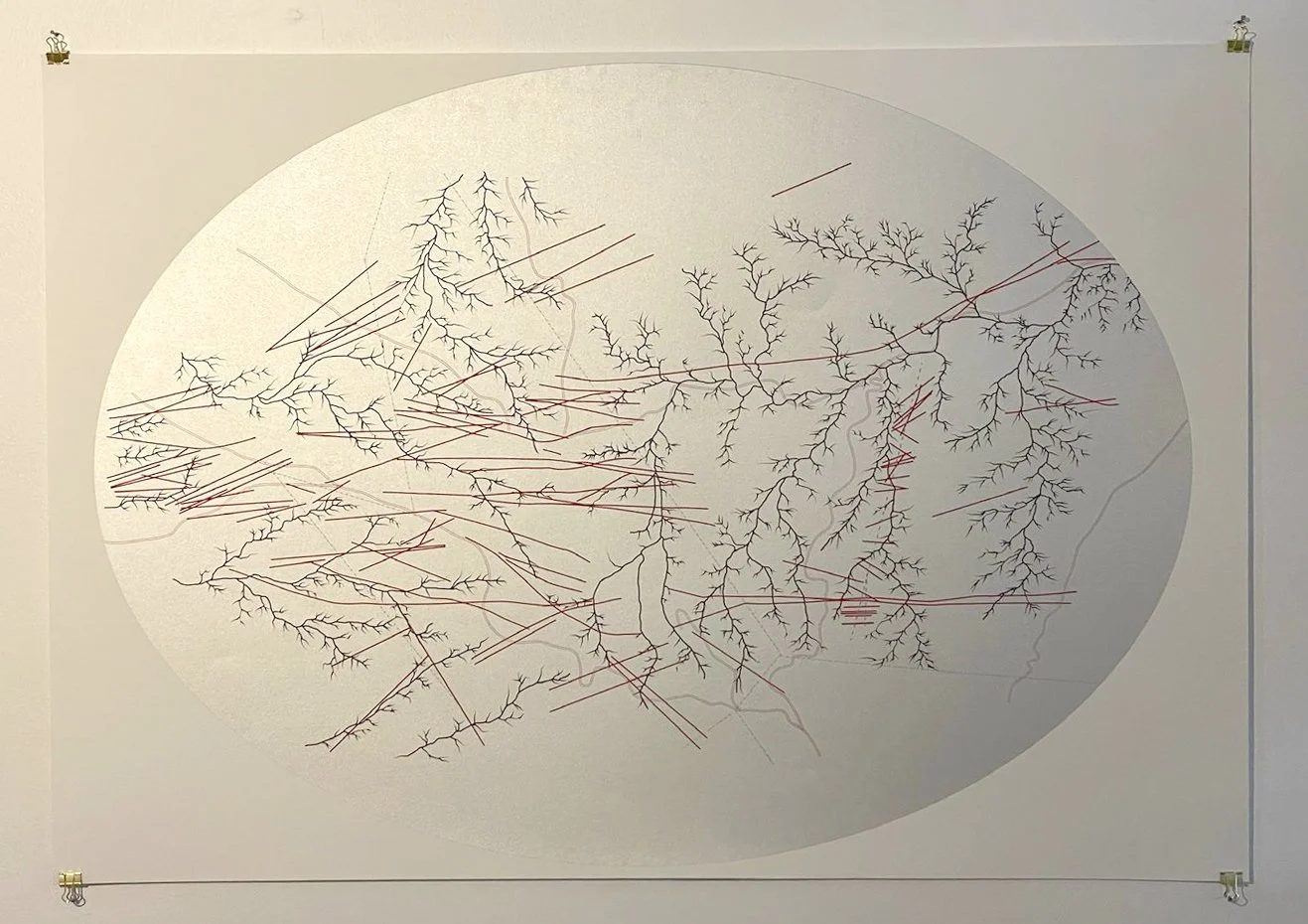 belonging was optimized out