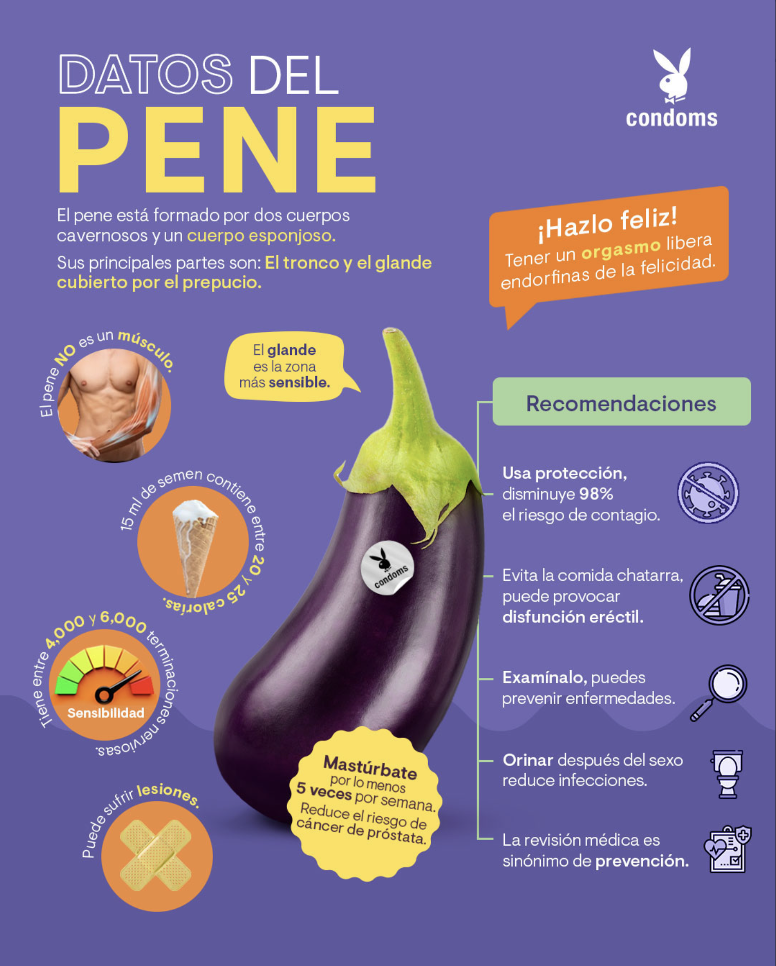 Screenshot 2026-02-18 at 9.56.51 a.m..png