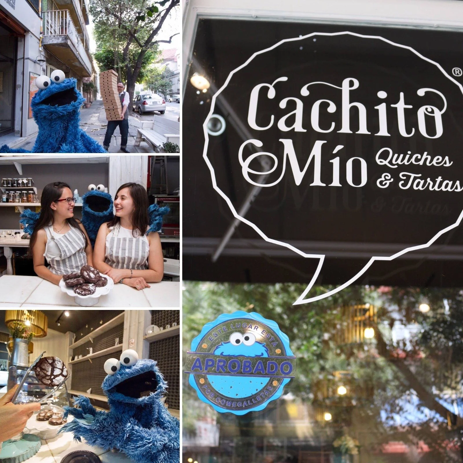 WhatsApp Image 2023-07-10 at 17.04.18 (3).jpeg