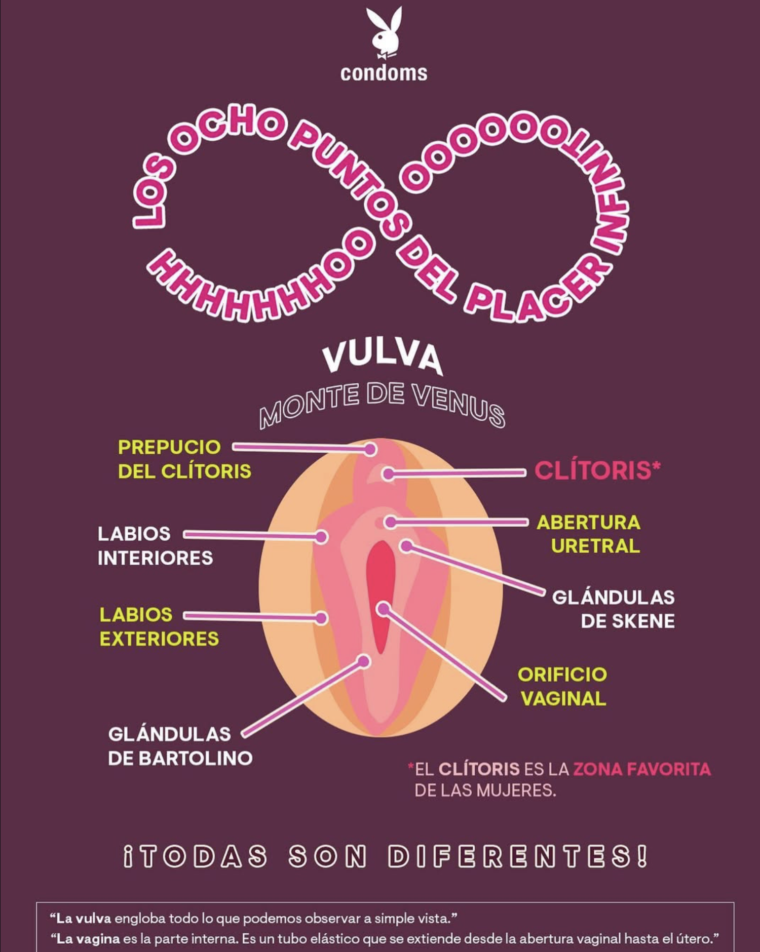 Screenshot 2026-02-18 at 9.57.16 a.m..png