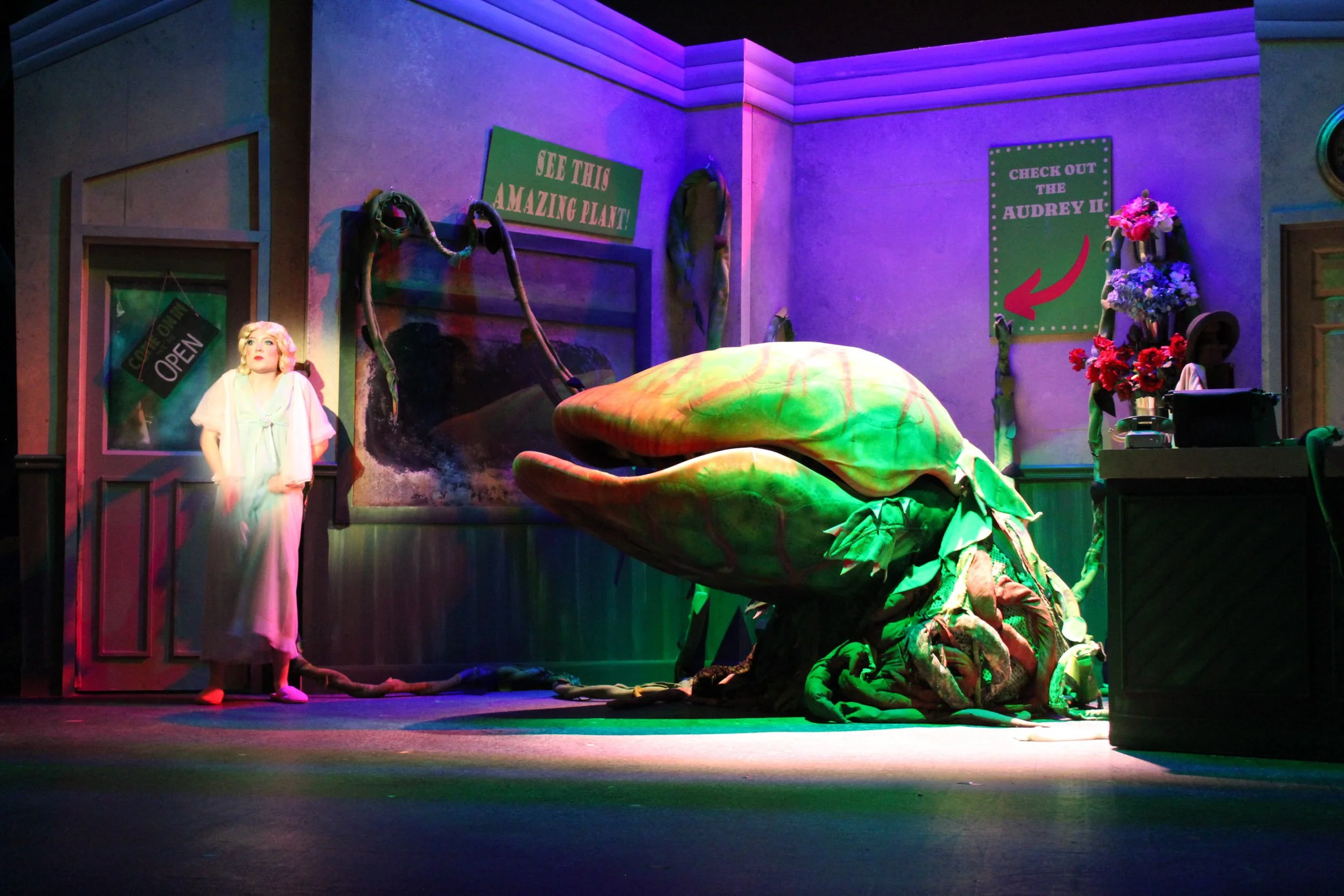 Stage scene of Little Shop of Horrors with a large puppet of a Venus flytrap and Olivia Scott, actress and performer, in a white dress standing nearby, lit with colorful lights.