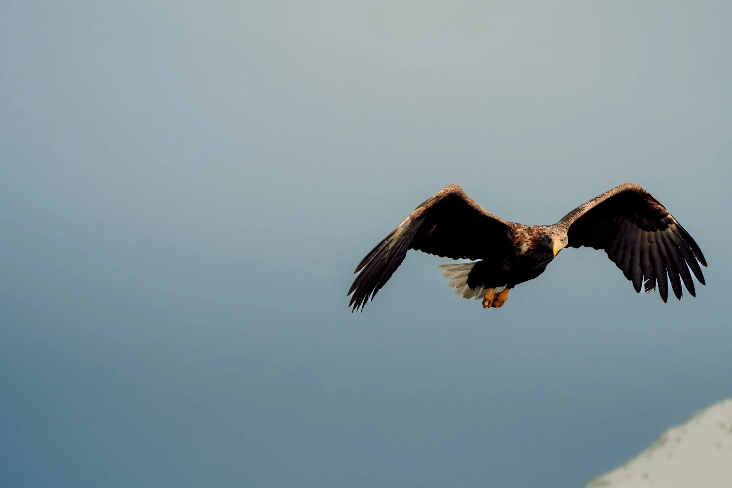 Norway website-77.jpg
