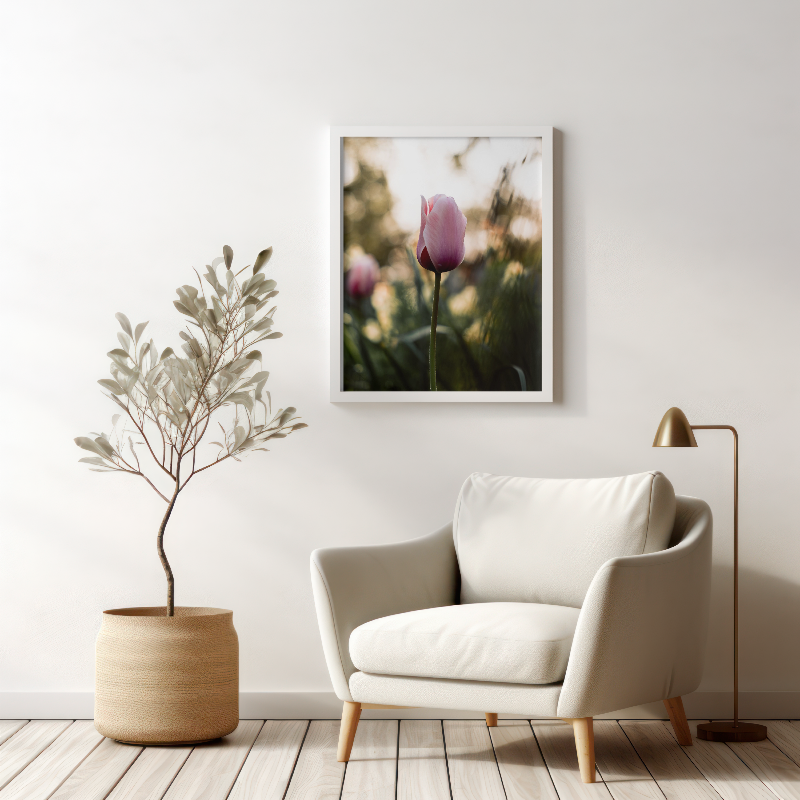 Tulipe