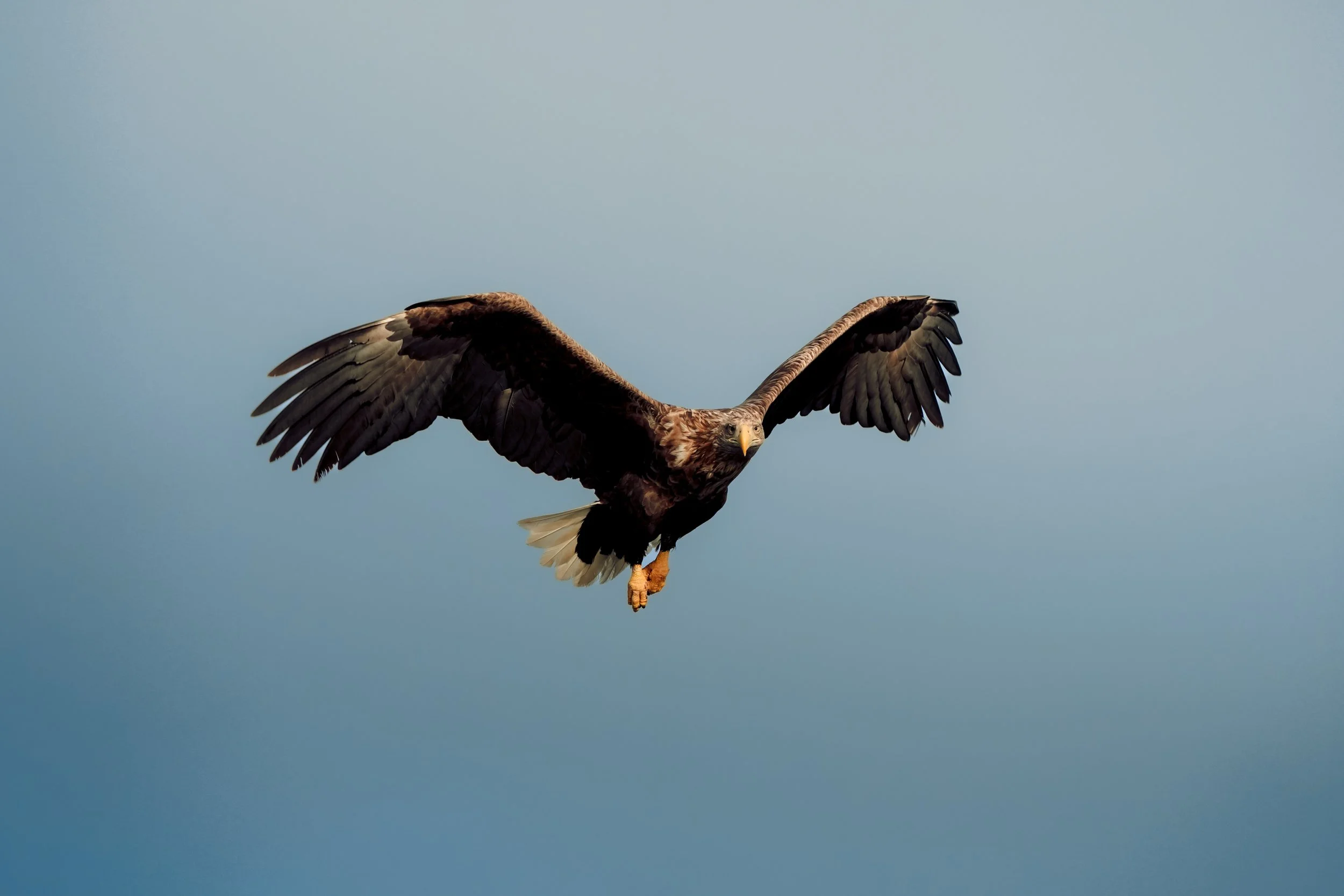 Norway website-75.jpg