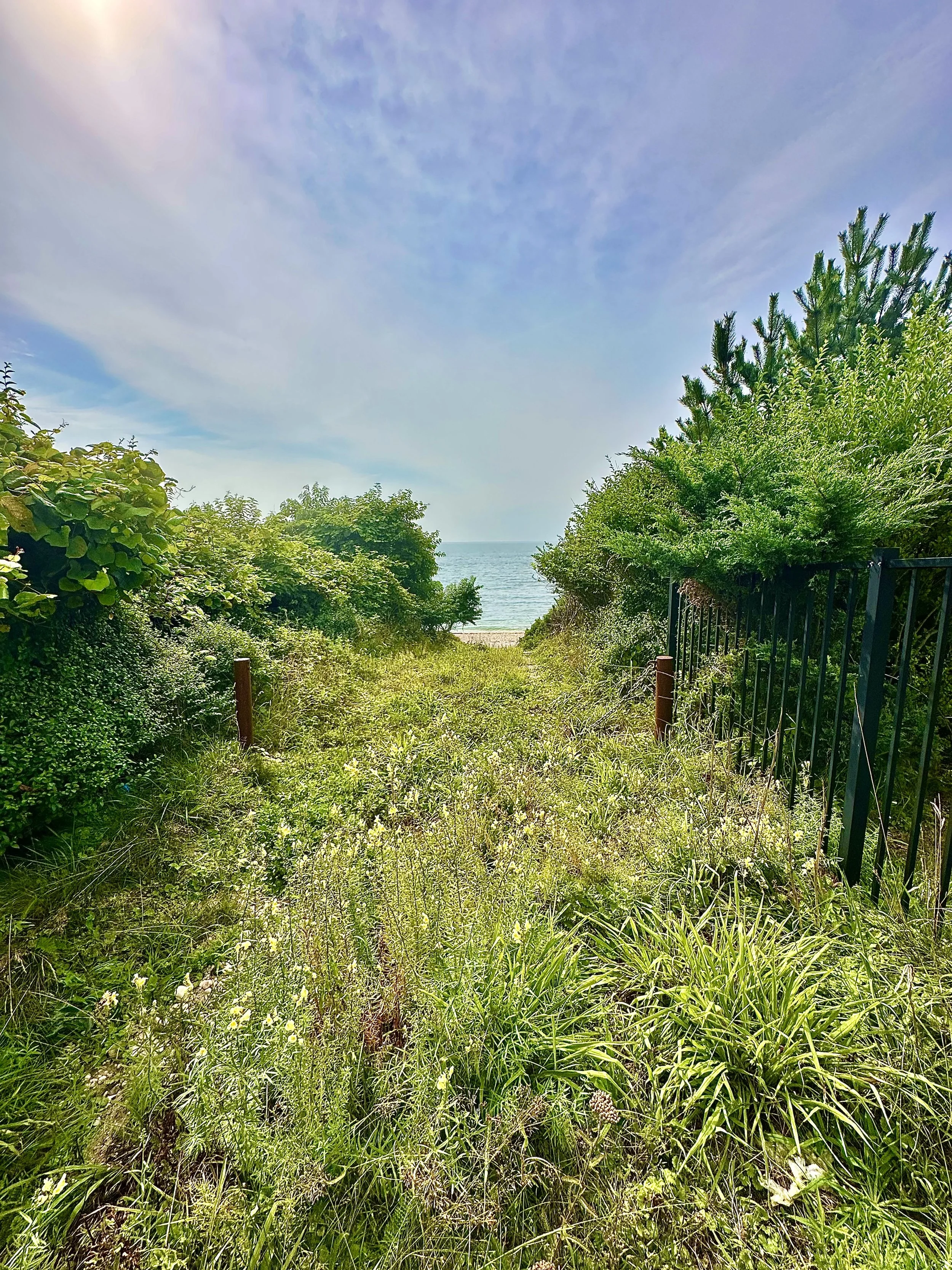 A grassy pathway with green shrubs and trees on both sides leading to the beach and ocean in the distance, under a partly cloudy sky.