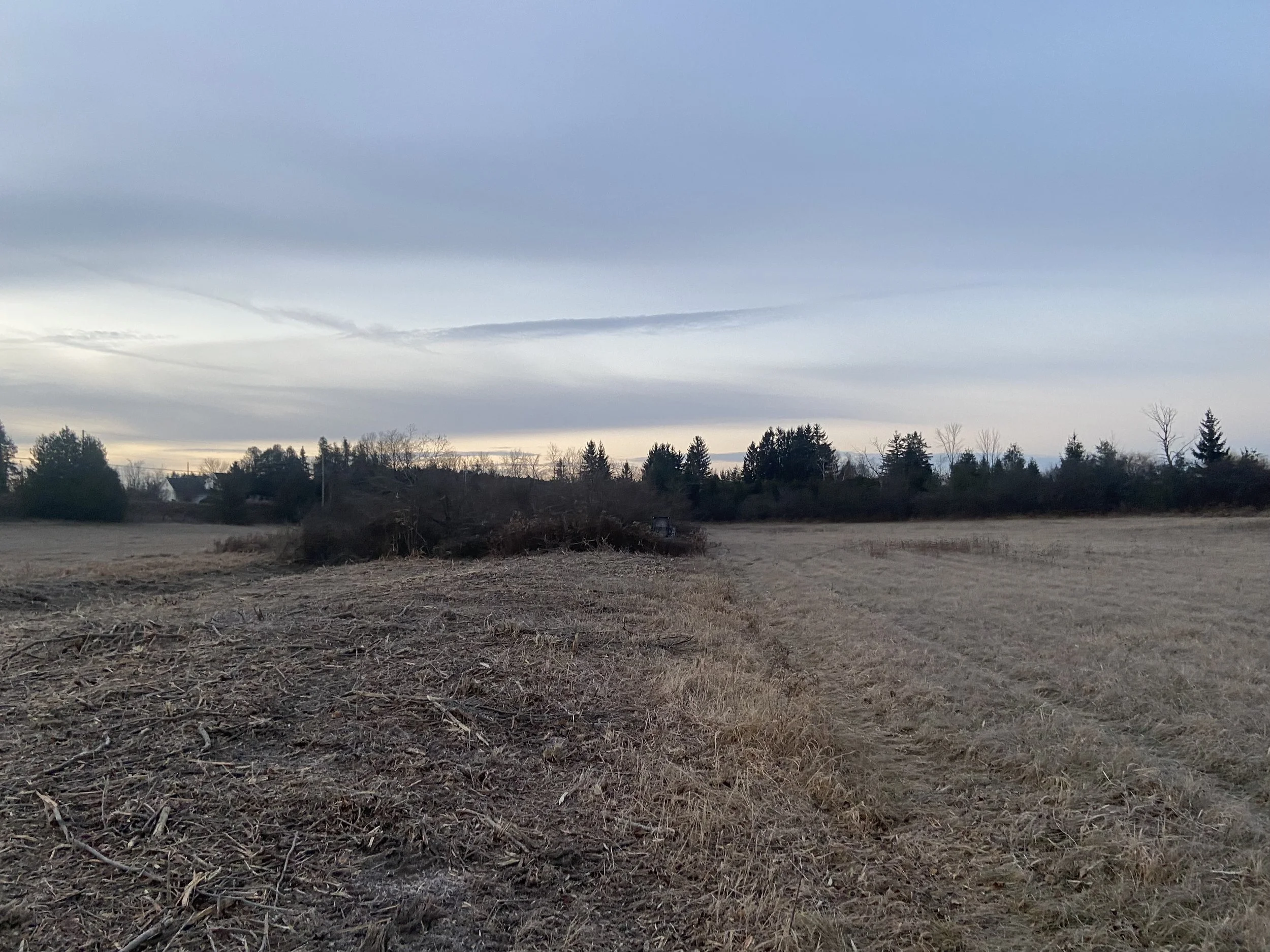 An open rural field with dry grass and patches of soil, bordered by trees under a cloudy sky, during daytime.