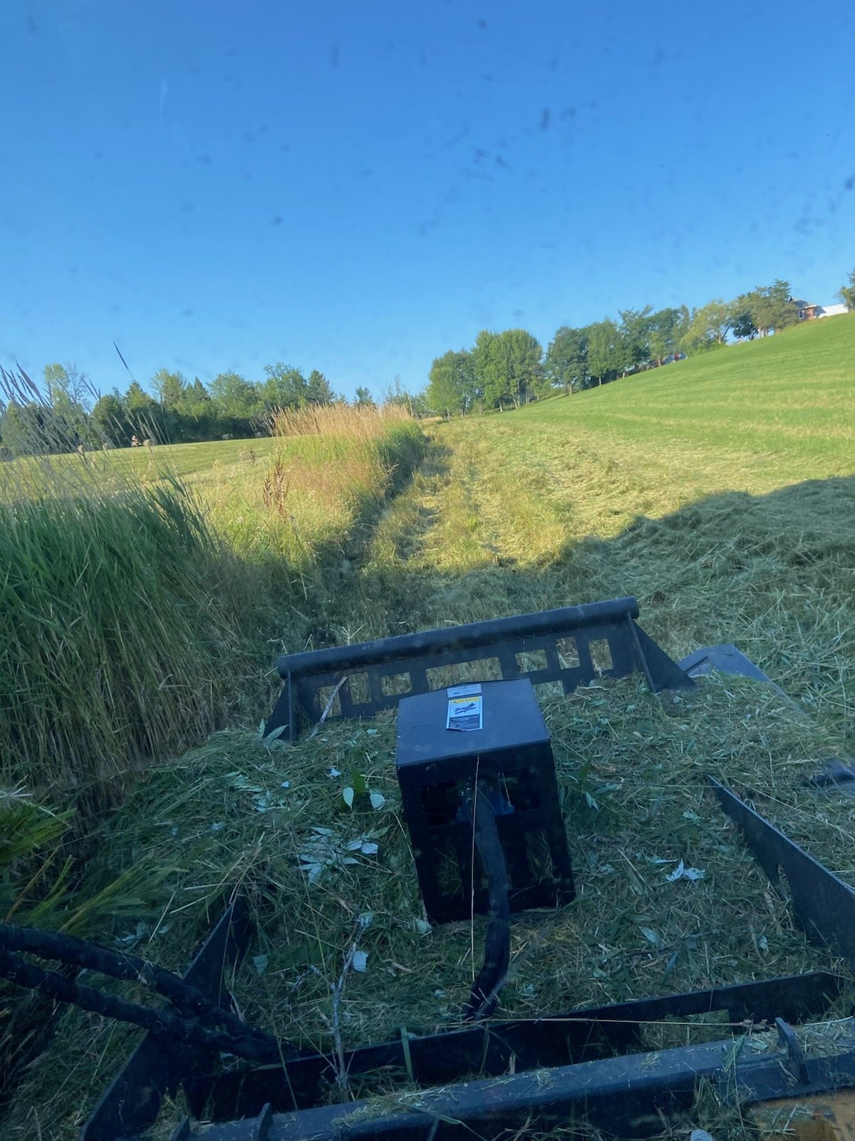 View from a lawn mower in a field with freshly cut grass, green trees, and a clear blue sky in the background.