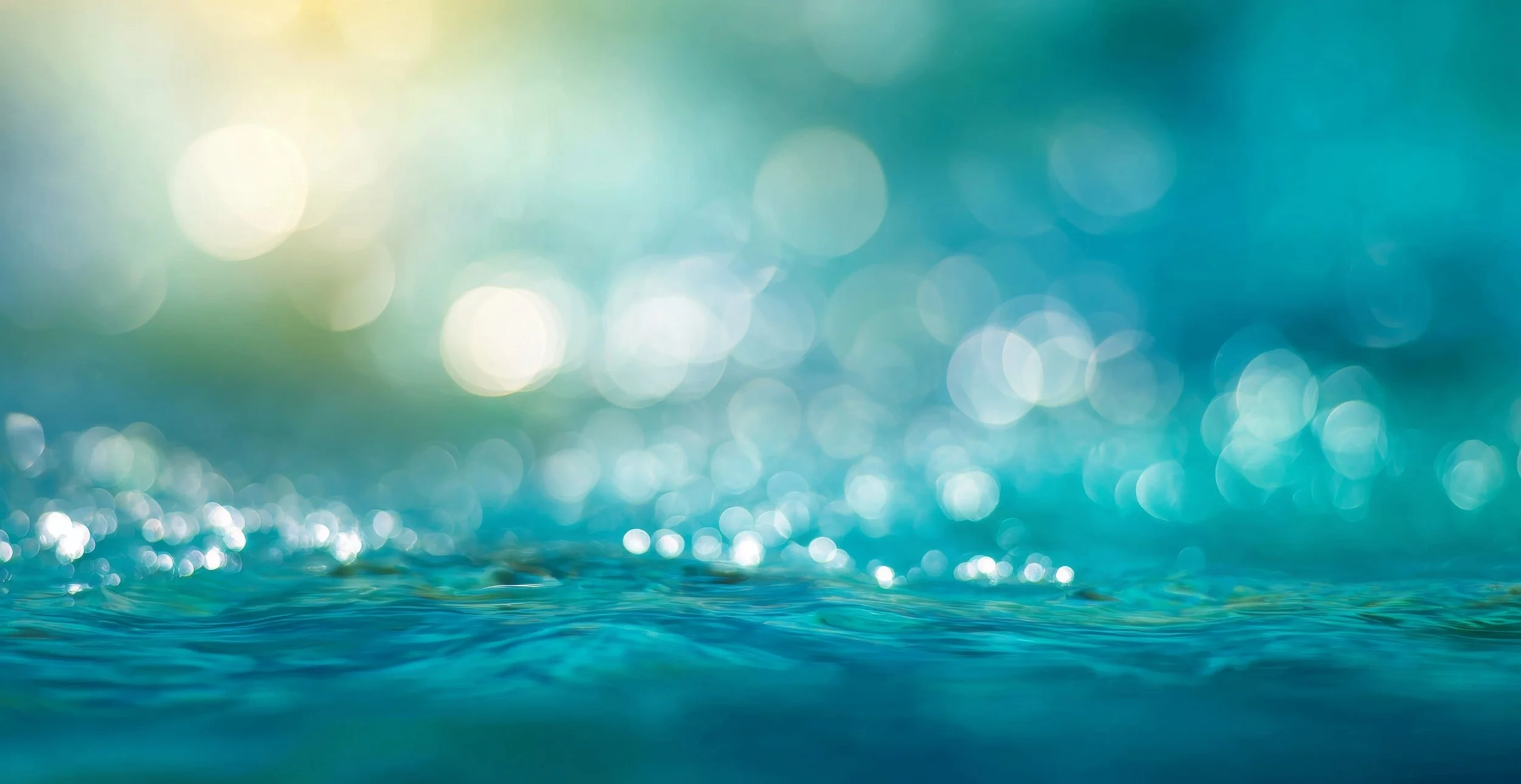 Initial Consultation