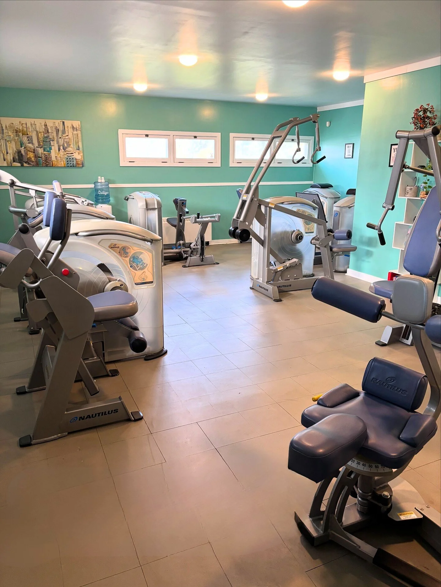 A high-quality photo representing the "Stay Strong, Live Long" philosophy, showing an active adult engaging in purposeful movement or a focused strength training session.