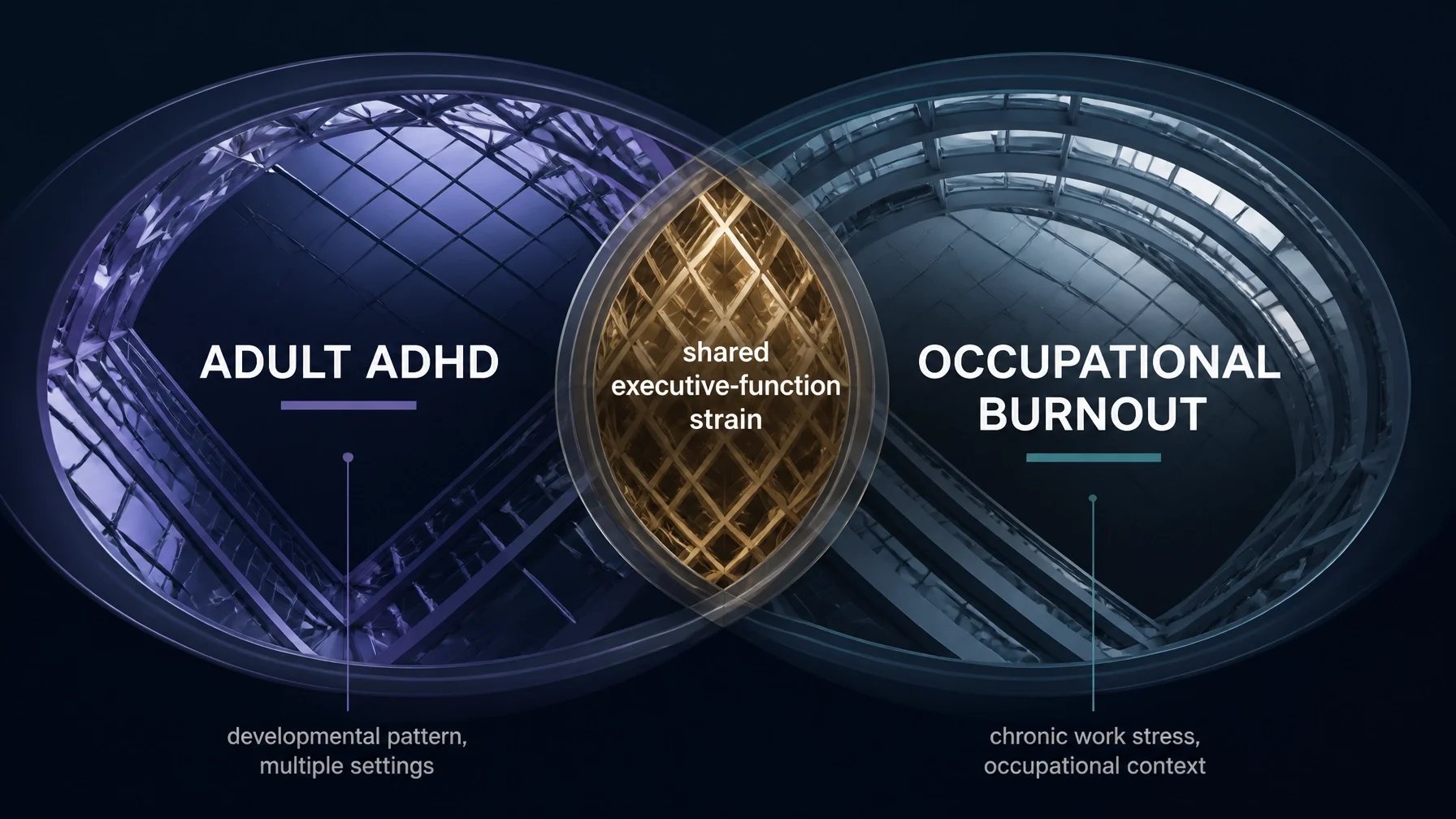 Conceptual graphic distinguishing adult ADHD from occupational burnout while showing their shared executive-function strain and overlapping effects on professional functioning.