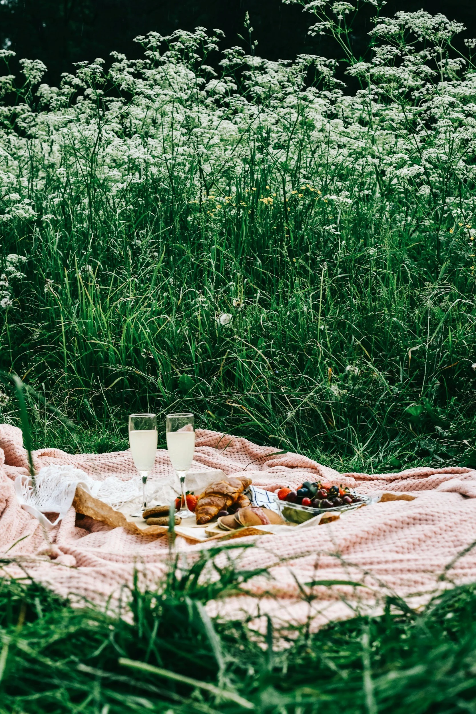 Picnic setup on a pink blanket in a grassy field with white flowers; includes two glasses of a pale beverage, croissants, berries, and other snacks.