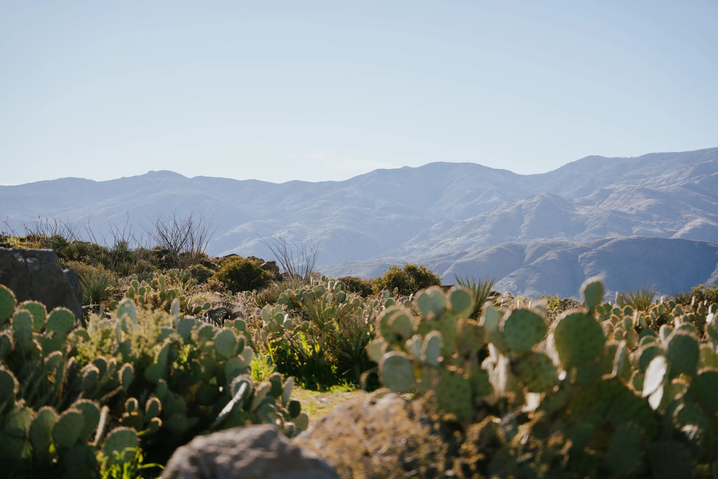 Arizona contractors who handle septic systems in Arizona can trust JT's Septic to design and install a high-quality septic system.