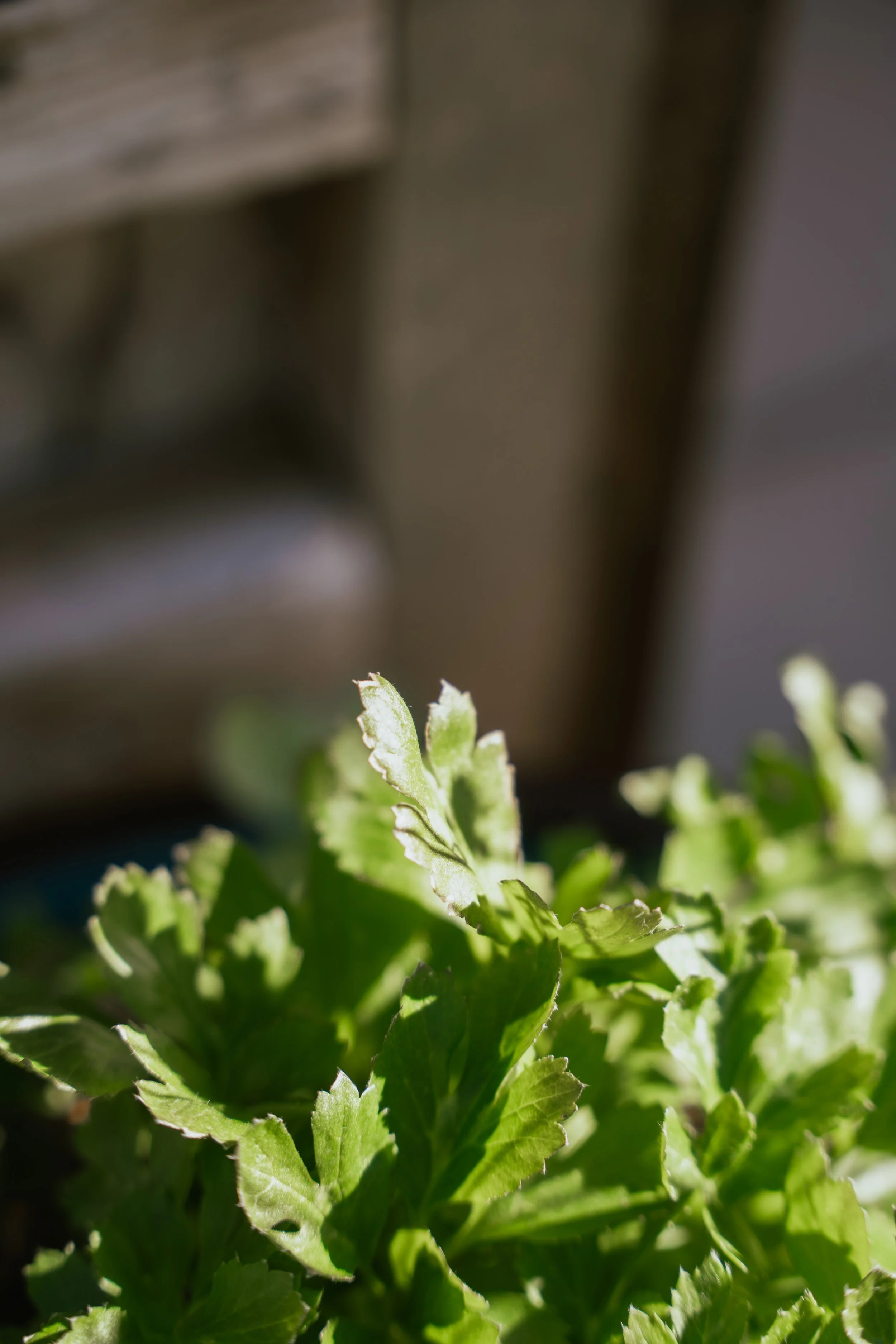 With over 30 years of experience, JT's Septic knows how to handle a new build, septic system replacement, and development projects.