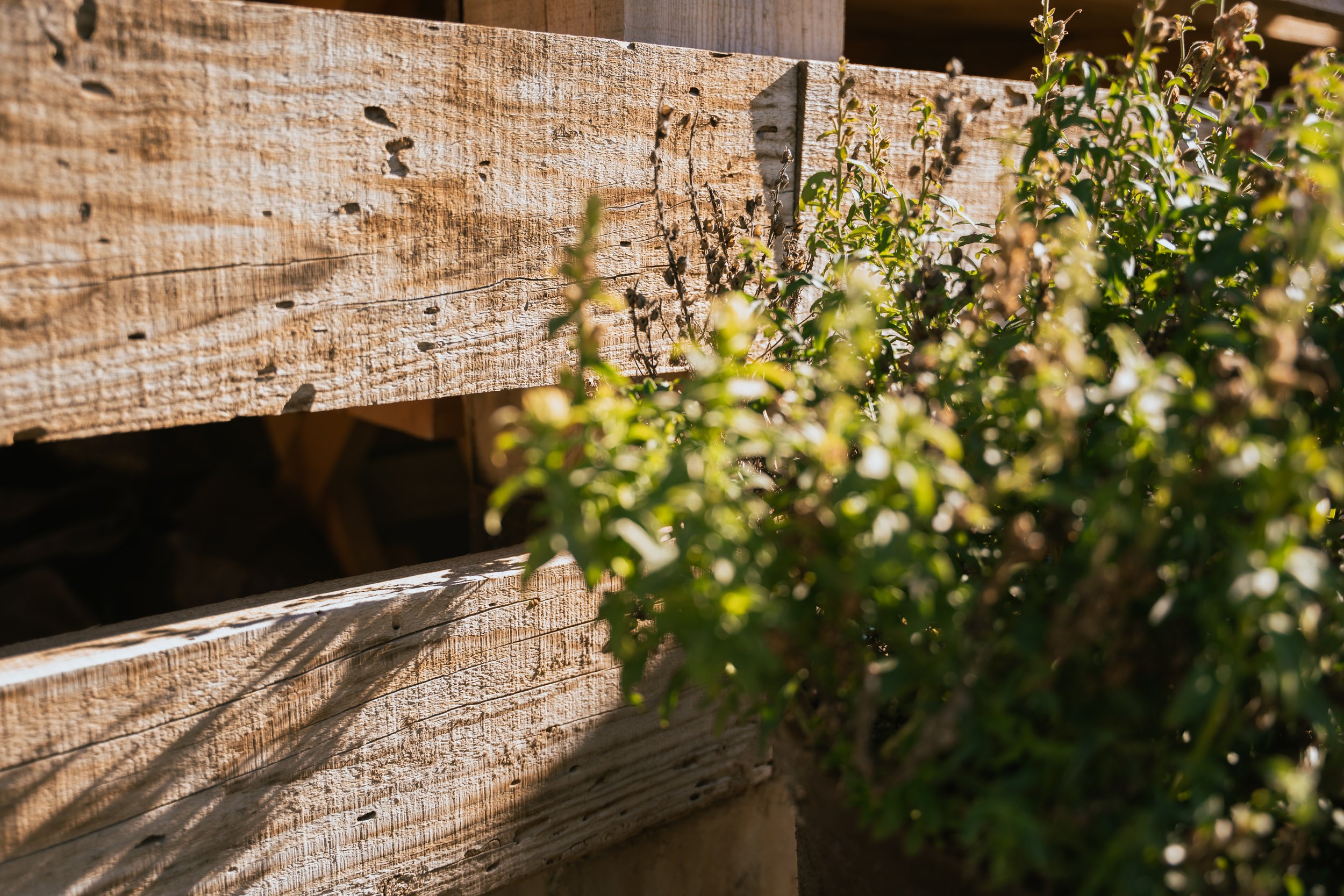 JT's Septic, one of the most trusted septic service providers in Yavapai County.