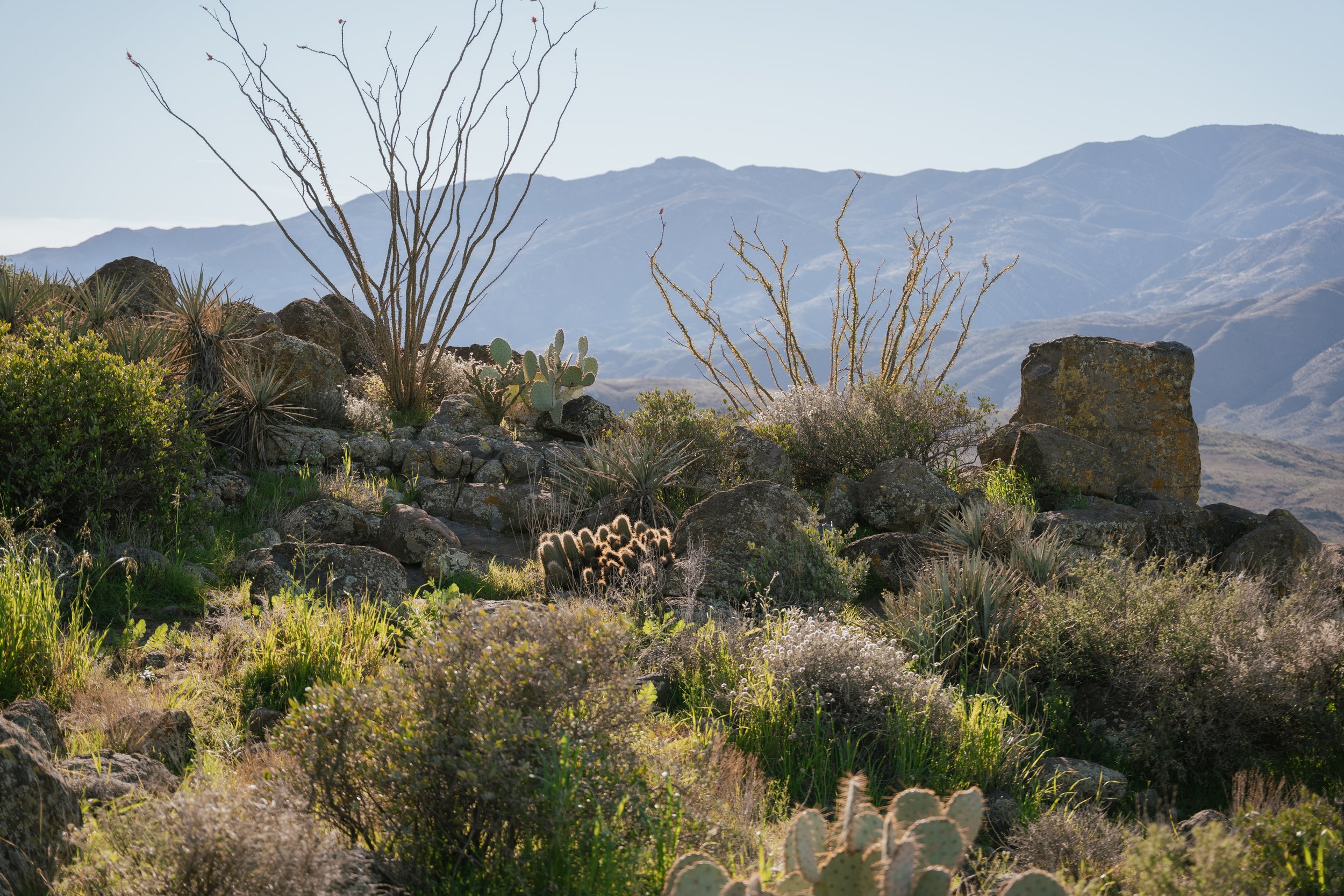 JT's Septic education hub covers common septic questions, maintenance tips, and environmental care for property owners in Arizona.