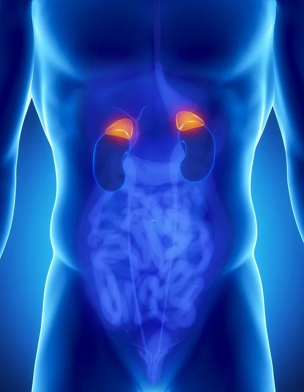Adrenal fatigue