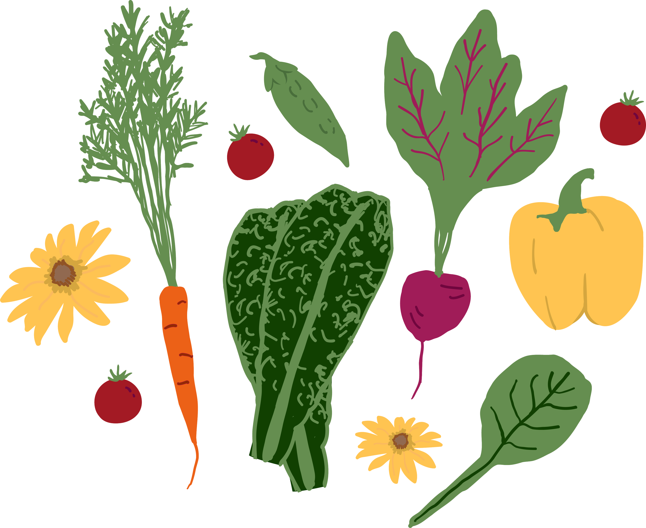 Illustration of various vegetables and flowers, including a sprig of thyme, cherry tomatoes, a carrot, a yellow flower, an eggplant, leafy greens, a pumpkin, and other leafy vegetables.