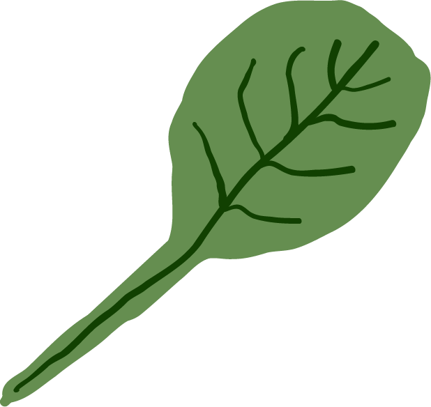 Digital drawing of a green leaf with a stem and visible veins.