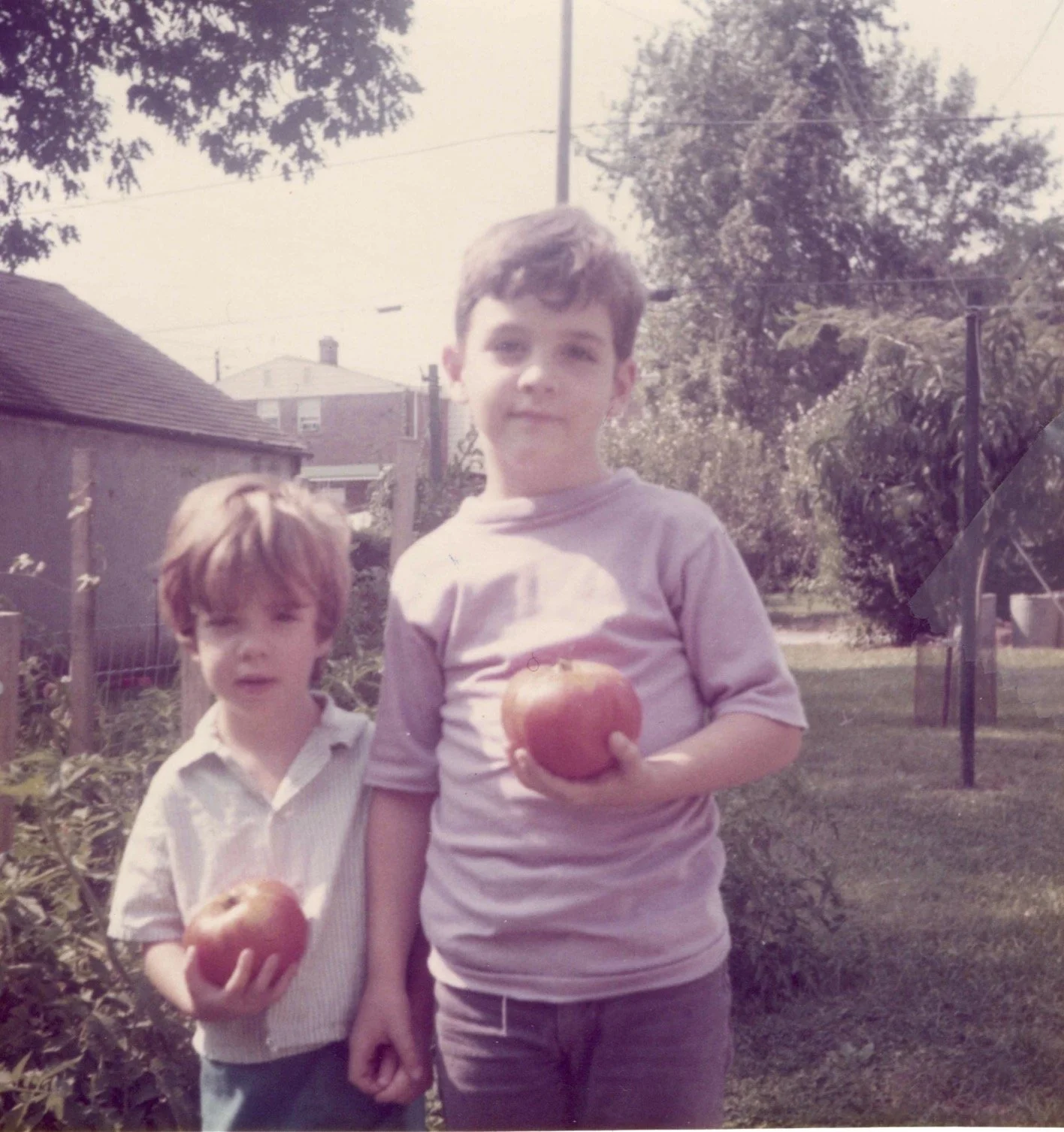 Two young boys standing outdoors, each holding an apple. The boy on the right is taller, with short hairstyle, and wears a light purple shirt. The boy on the left has slightly longer hair, wears a cream-colored shirt, and appears to be slightly shorter.