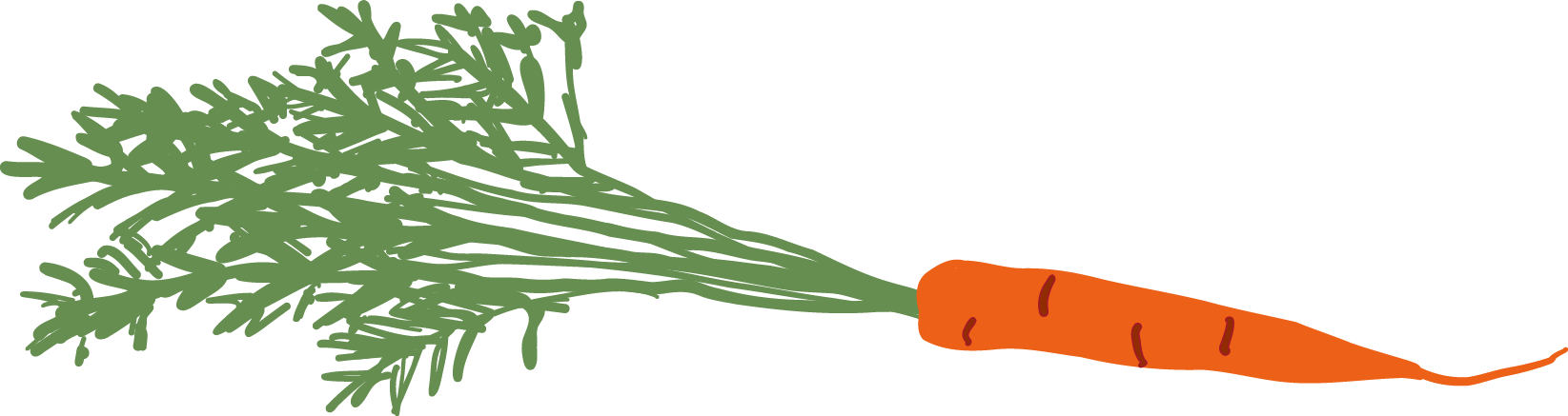 Illustration of a carrot with green leafy tops on a transparent background.