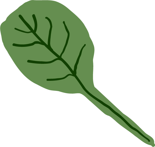 Illustration of a green leaf with visible veins.