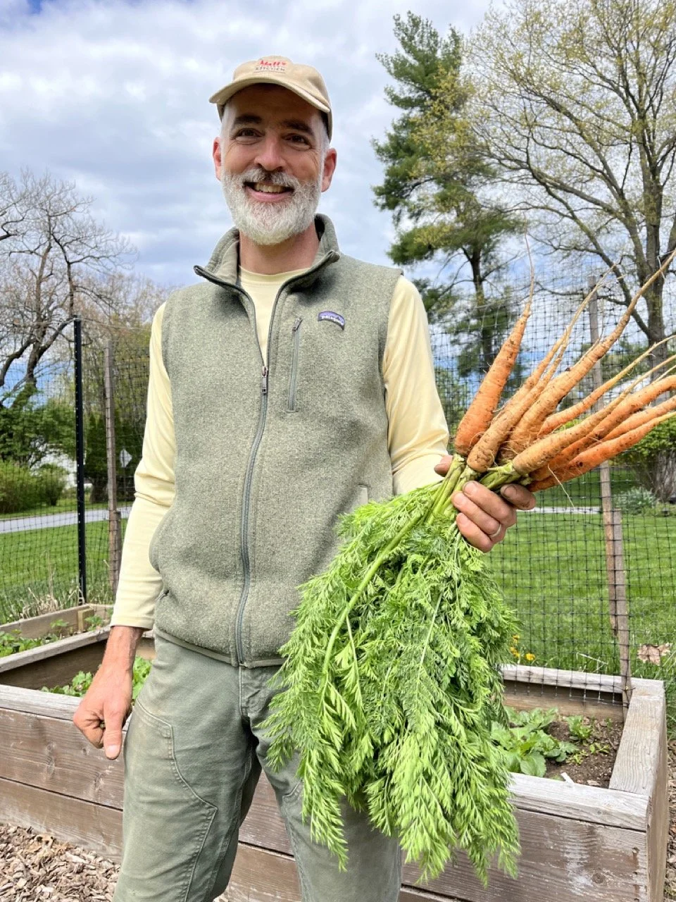 A man with a grey beard and a beige cap smiling and holding freshly picked carrots with green tops in a garden.