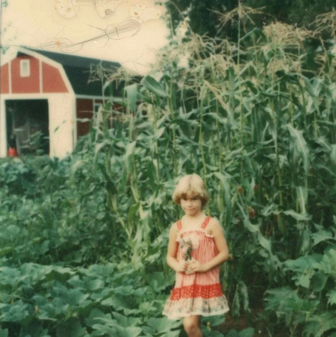 A young girl with short blonde hair in a red and white dress standing in a garden with tall corn plants. A red barn with white trim is visible in the background, and there is a child's drawing of a girl and a spider on the wall.