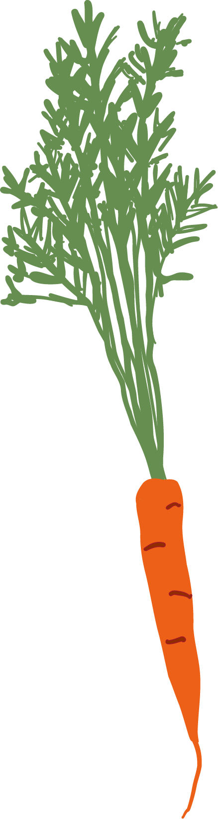 Drawing of a single orange carrot with green leafy top.
