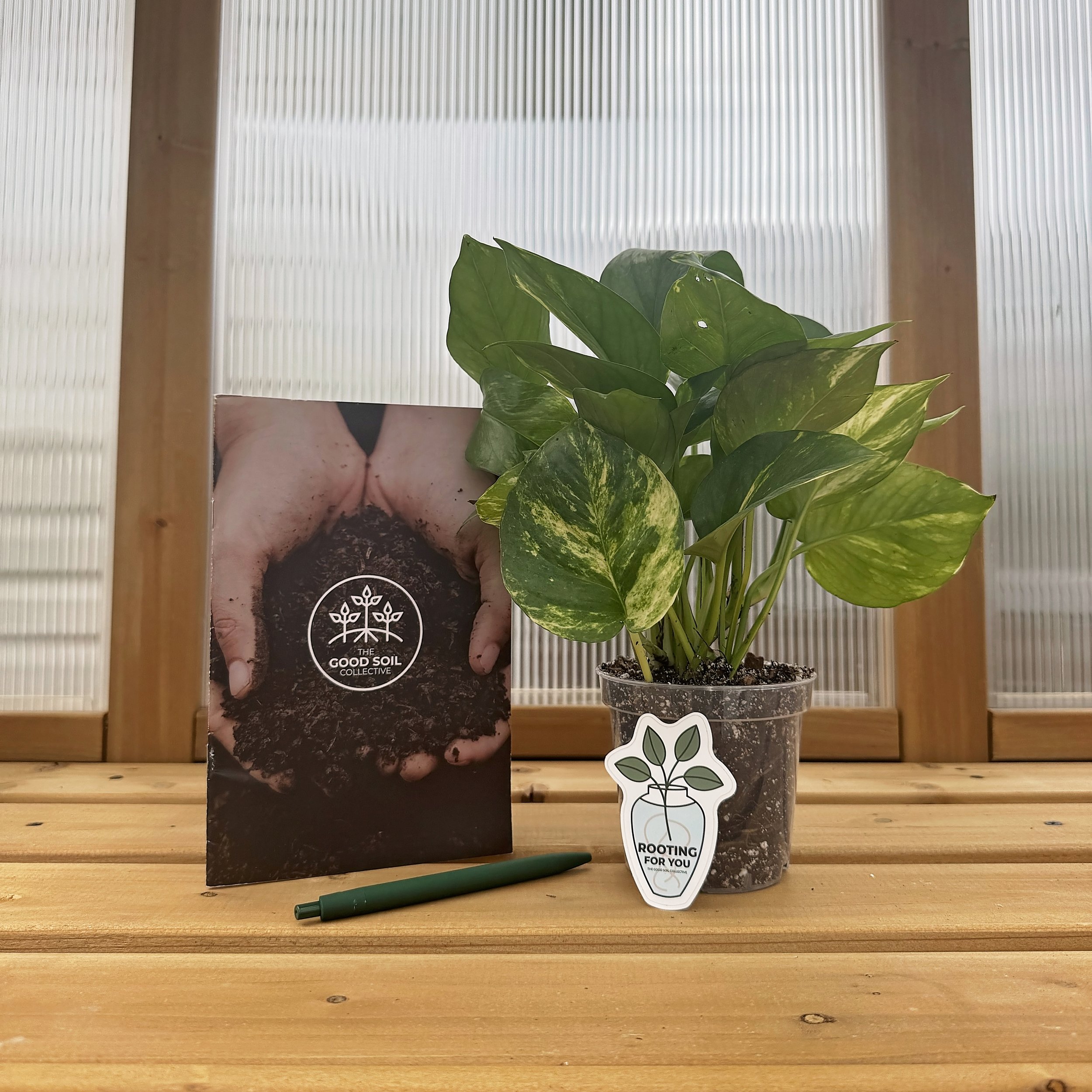 Emotional Support Plant